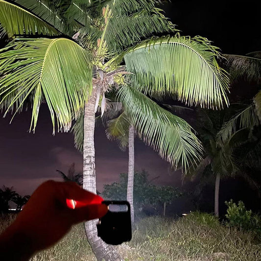 LED Battery Operated Keychain Flashlight Small Work Light with Folding Bracket Bottle Opener for Camping, Hiking, Emergency (1 Pc / MOQ :- 36 Pcs)