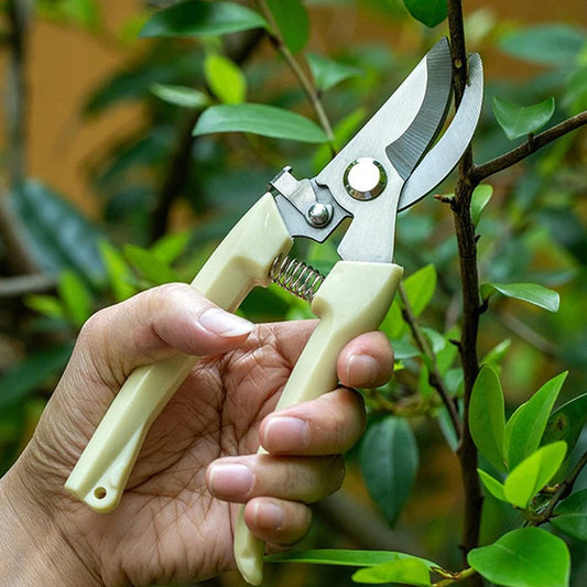 0471 Stainless Steel Pruning Shears with Sharp Blades and Comfortable handle - Durable Hand Pruner for Comfortable and Easy Cutting, Heavy Duty Gardening Cutter Tool Plant Cutter for Home Garden | Wood Bran (1 Pc) - deal99.in