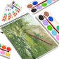 1123 Painting Water Color Kit - 12 Shades and Paint Brush (13 Pcs) DeoDap