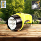 Safe Lite Emergency LED Torch