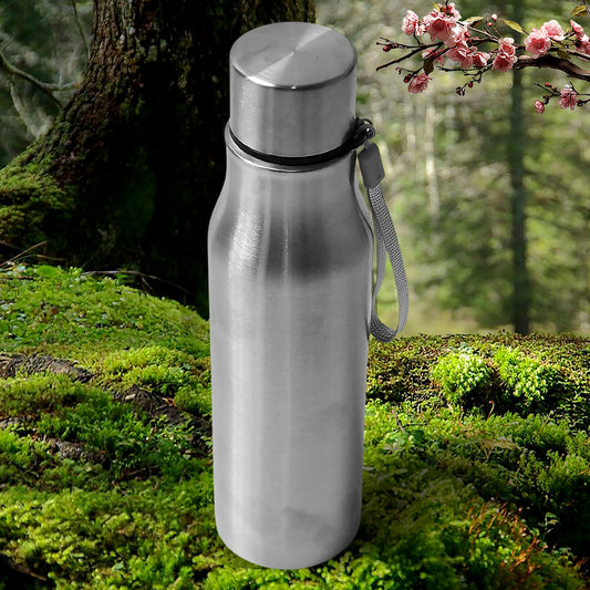 Stainless Steel Water Bottle | Leak Proof | Office Bottle | Gym Bottle | Home | Kitchen | Hiking | Trekking Bottle | Travel Bottle (1000 ML)