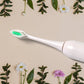 Electric Toothbrush 