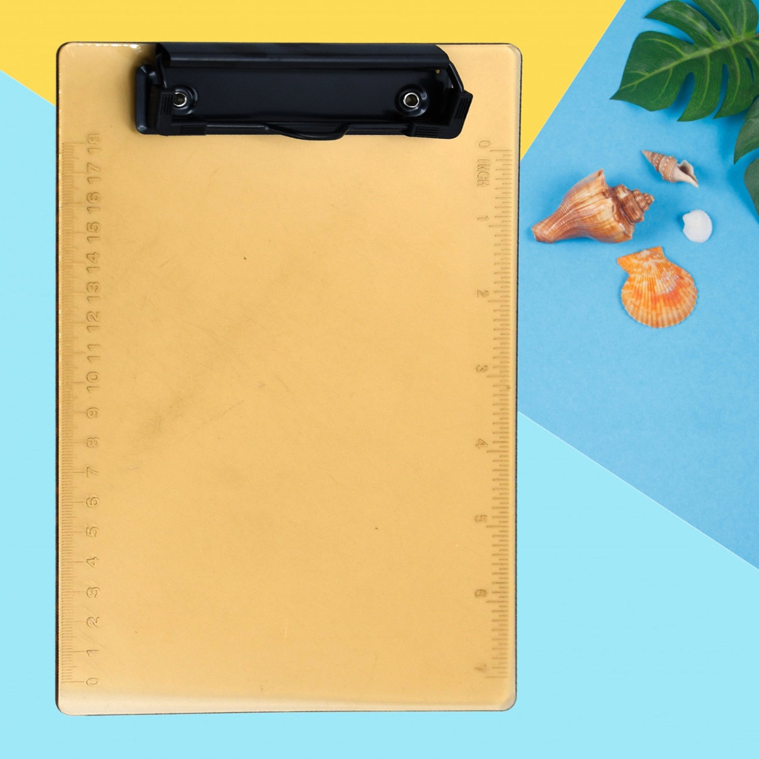 Durable transparent clipboard, heavy-duty plastic, suitable for professional use.