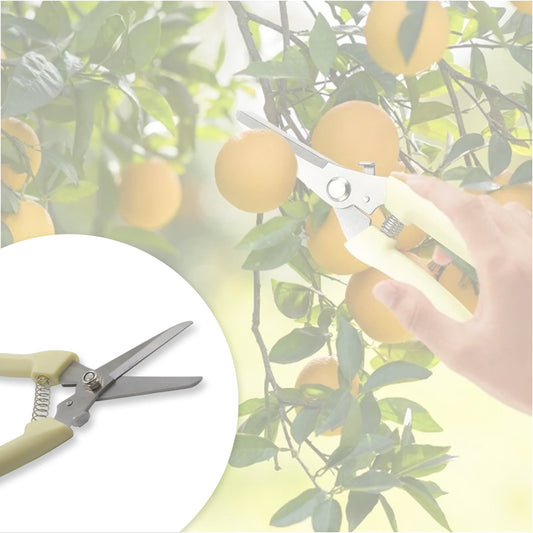 Pruning shears with ergonomic anti-slip handle for easy use.