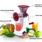 Fruit and vegetable juicer with manual handle