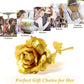 Romantic Heart Love Table Decor Gift Set (1 Set)