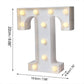 Decorative LED Night