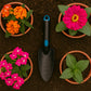 Plastic Heavy Duty Garden Hand Trowel with Measurement Marks (1 Pc)