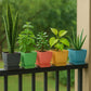 5 Pcs Plastic Square Planter Pots for Indoor
