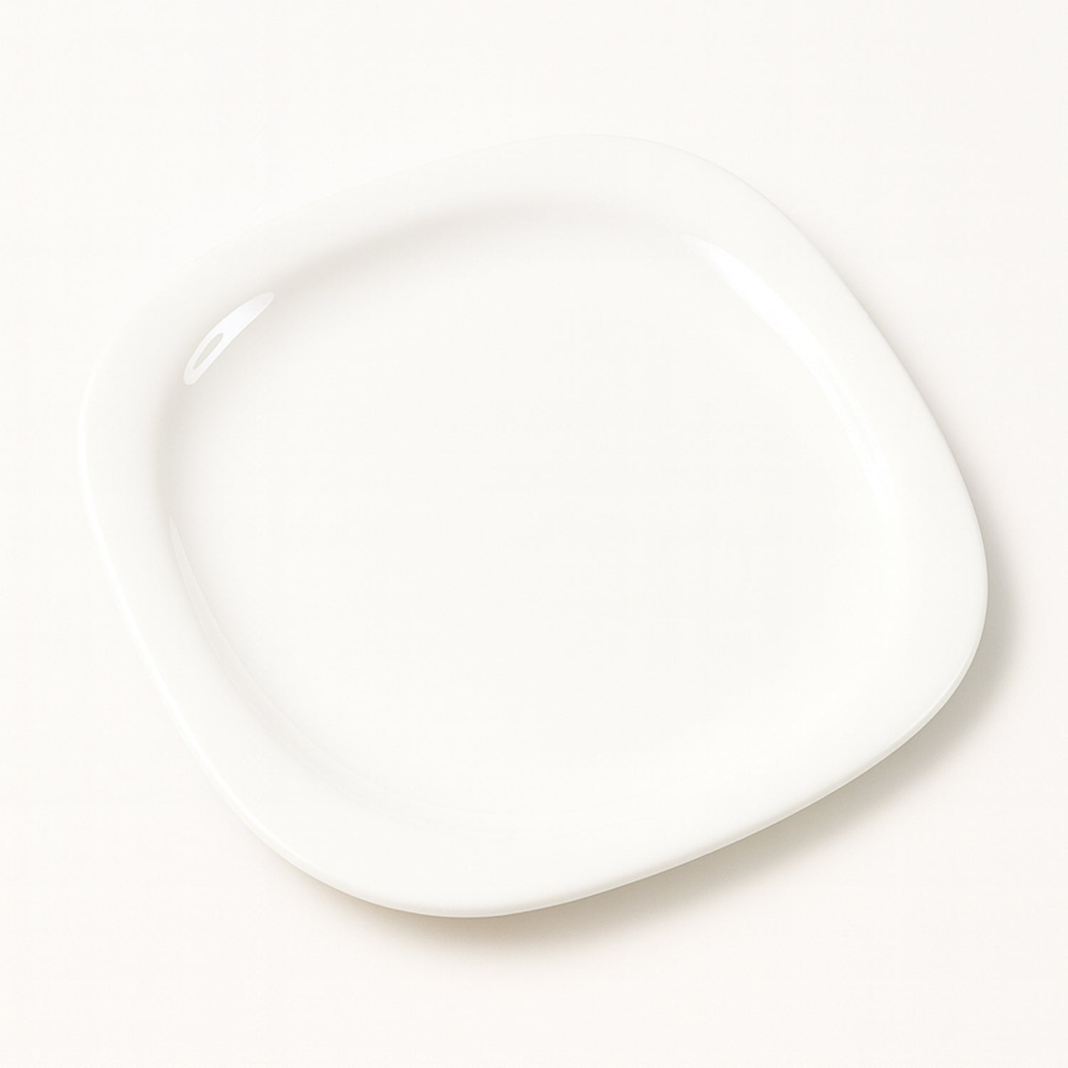 Dinner Plate