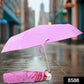 Foldable Umbrella