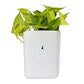 Hanging planter pot, perfect for small spaces.