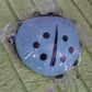 Ladybug Toothbrush Holder (1 Pc)