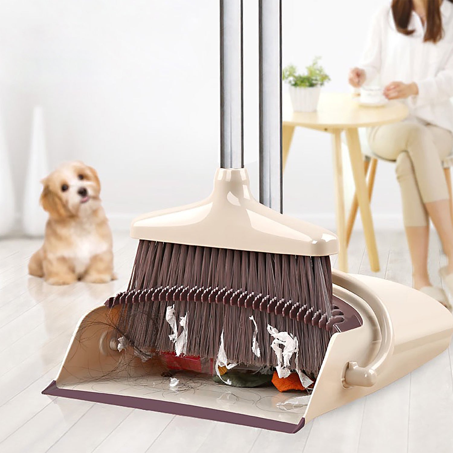 Broom and dustpan combo with long handles