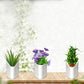 Multicolor vertical planter, easy to hang on walls.