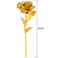 Golden rose for various places