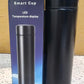Black Vacuum Insulated Water Bottle (1 Pc / 500ML)