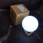 Moon Night Lamp with Plastic Stand Night Lamp for Bedroom (15x13 Cm / 1 Pc)