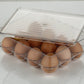 Storage box with 12 cavities for holding eggs