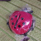 Ladybug Toothbrush Holder (1 Pc)