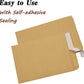 Kraft Envelopes, 16 x 14.5 Inch, Brown Envelopes, Envelopes, Card Envelopes, Kraft Paper Envelopes, Invitation Envelopes, Postcard Envelopes, Quick Self Seal, Stationery For General, Office (1 Pc )