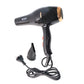 Orbit Professional Electric Hair Dryer with Concentrator Nozzle (1 Pc)