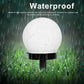 Solar-Powered LED Garden Globe Pathway Light (1 Pc)