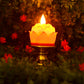 Decorative Light