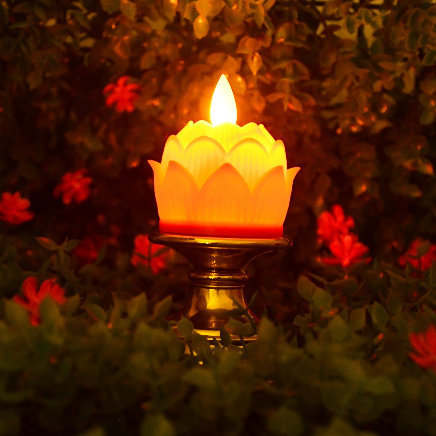 Decorative Light