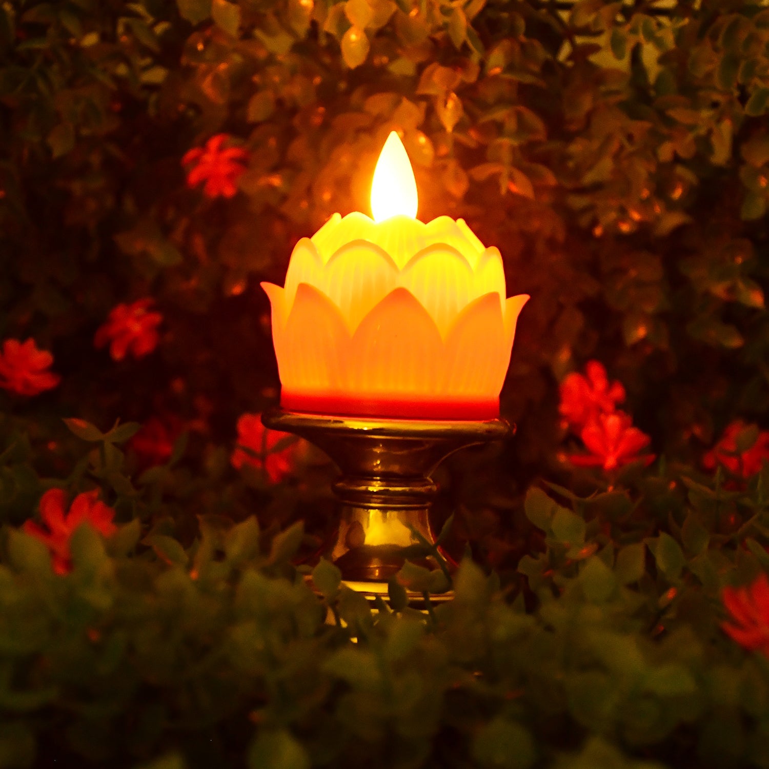 Decorative Light