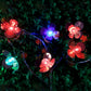 Decorative Blossom Flower LED String Lights