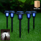 Mosquito Zapper Lamps