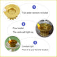Divine Glow Diyas