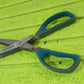 Multifunction Vegetable Stainless Steel Herbs Scissor with 5 Blades (1 Pc)