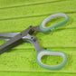 Multifunction Vegetable Stainless Steel Herbs Scissor With 5 Blades (1 Pc)