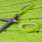 Multifunction Vegetable Stainless Steel Herbs Scissor with 5 Blades (1 Pc)