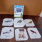 KidKraft Early Learner Educational Flashcards – 32 Birds