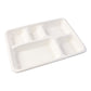 Disposable Serving Tray