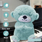 Soft Musical Teddy Bear Toy