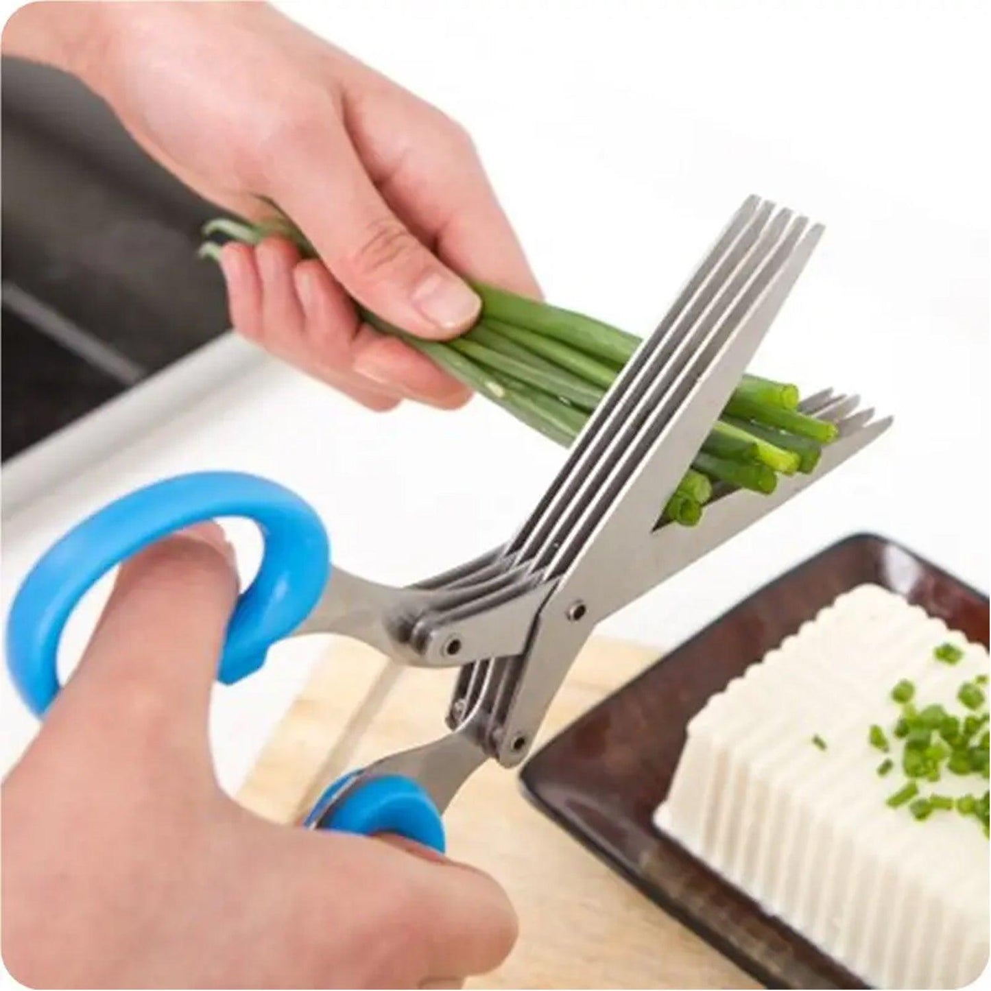 1563A MULTIFUNCTION VEGETABLE STAINLESS STEEL HERBS SCISSOR WITH 5 BLADES DeoDap